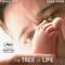 THE TREE OF LIFE